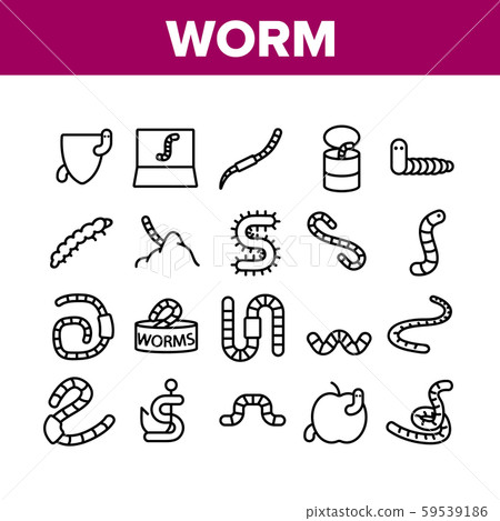 Worm Insect Animal Collection Icons Set Vector 59539186
