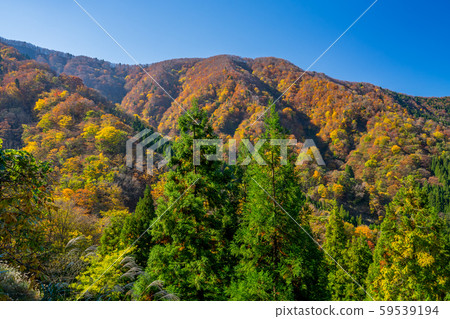 Autumnal wrinkled waterfall Autumnal wrinkled waterfall 59539194