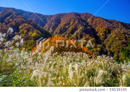 Autumnal wrinkled waterfall Autumnal wrinkled waterfall 59539195