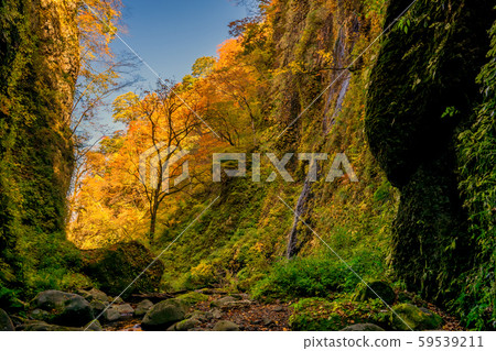 秋季皺紋的瀑布 59539211