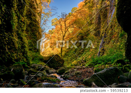 秋季皺紋的瀑布 59539213