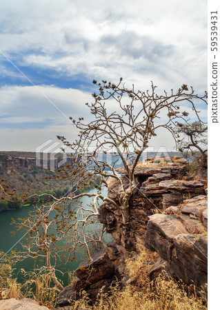 View of Chambal valley river near Garadia Mahadev 59539431