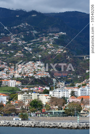 Portuguese territory, Madeira island, Funchal, city view 59540206
