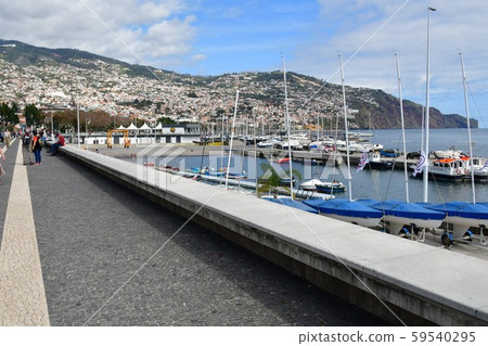 葡萄牙領土，馬德拉島，豐沙爾，沿海景觀 59540295