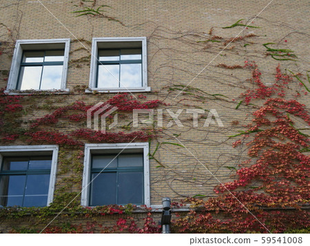 Koshien Stadium, where autumn foliage shines in the autumn sky 59541008