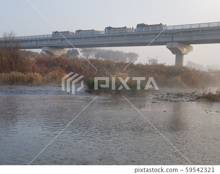 Morning fog, bridges 59542321