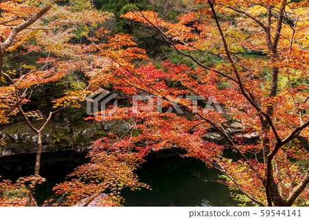 Autumn scenery_Autumn leaves and Okutsu Valley 59544141
