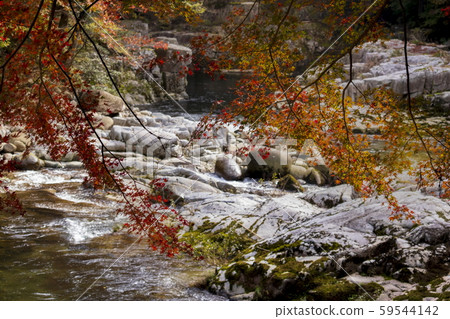 Autumn scenery_Autumn leaves and Okutsu Valley 59544142