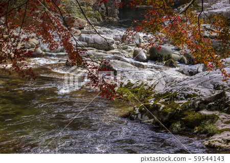 秋天的風景_秋天的樹葉和奧津谷 秋天的風景_秋天的樹葉和奧津谷 59544143