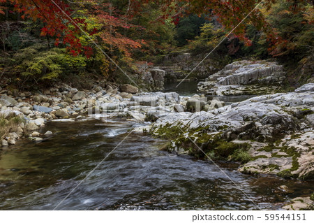Autumn scenery_Autumn leaves and Okutsu Valley Autumn scenery_Autumn leaves and Okutsu Valley 59544151