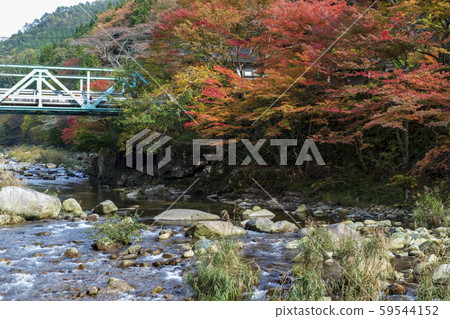 Autumn scenery_Autumn leaves and Okutsu Valley 59544152
