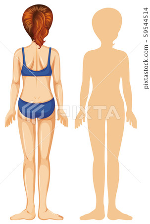 Back of woman on white background Back of woman on white background 59544514