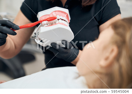 Dentist showing girl how brush teeth. Dentist showing girl how brush teeth. 59545004