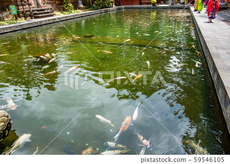 The precincts of Tirta Empul Temple in Bali, Indonesia 59546105