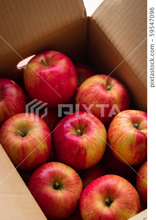 Apple and Shinano Sweet 59547096