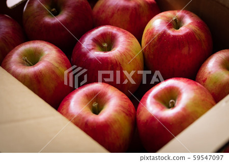 Apple and Shinano Sweet Apple and Shinano Sweet 59547097