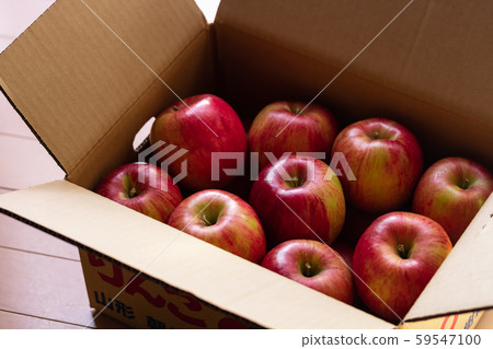 蘋果和信濃甜 蘋果和信濃甜 59547100