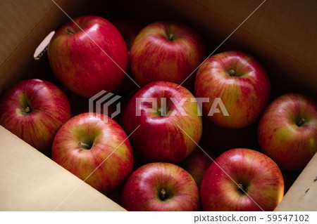 蘋果和信濃甜 59547102