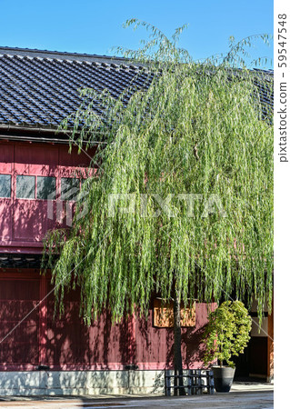 東茶屋區的秋天 東茶屋區的秋天 59547548