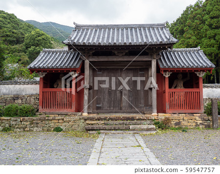10月,對馬萬壽山三門前的照片 10月,對馬萬壽山三門前的照片 59547757