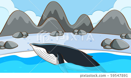 Whale swimming in cold water 59547891