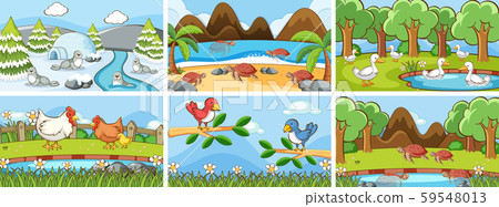 Background scenes of animals in the wild 59548013