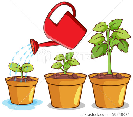 Isolated picture of potted plants Isolated picture of potted plants 59548025