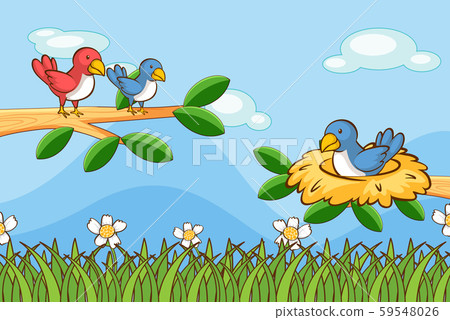 Scene with birds in garden Scene with birds in garden 59548026