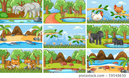 Background scenes of animals in the wild - Stock Illustration [59548630 ...