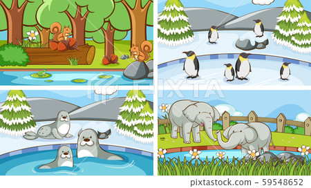 Background scenes of animals in the wild 59548652