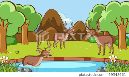Scene with deers in the forest - Stock Illustration [59548661] - PIXTA