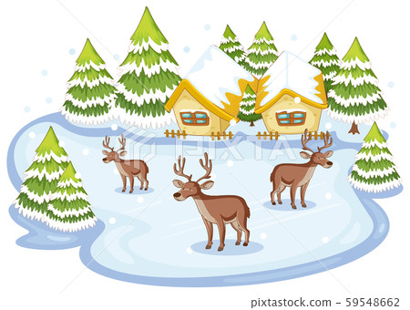 Scene with deers in winter Scene with deers in winter 59548662