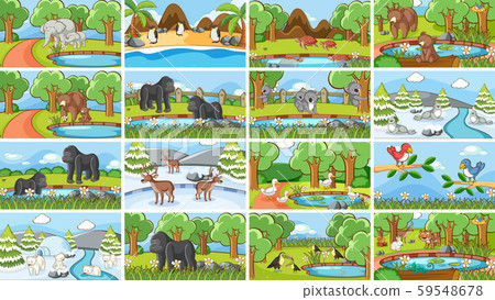 Background scenes of animals in the wild 59548678