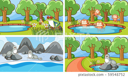 Background scenes of animals in the wild Background scenes of animals in the wild 59548752