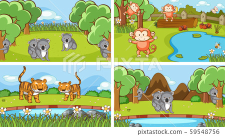 Background scenes of animals in the wild Background scenes of animals in the wild 59548756