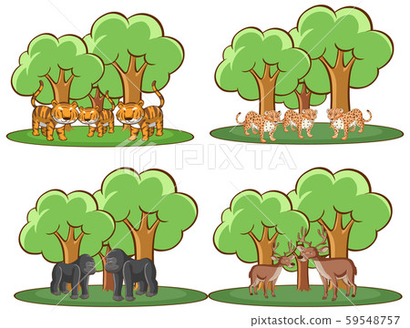 Four forest scenes with many animals Four forest scenes with many animals 59548757