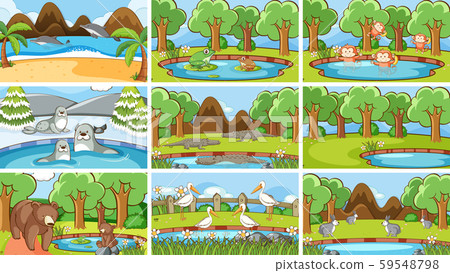 Background scenes of animals in the wild 59548798