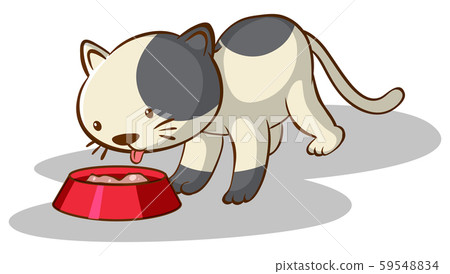 Cat eating food on white background 59548834