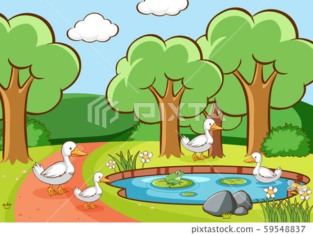 Scene with ducks in the park 59548837