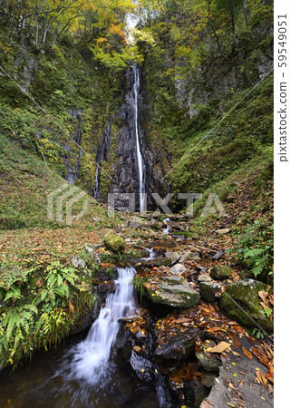 Shinya Hachitaki Falls (Kami-cho, Mikata-gun, Hyogo) 59549051