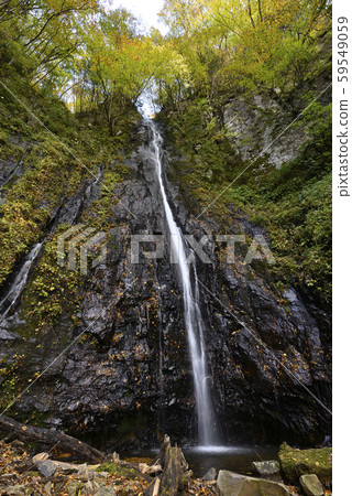 Shinya Hachitaki Falls (Kami-cho, Mikata-gun, Hyogo) 59549059