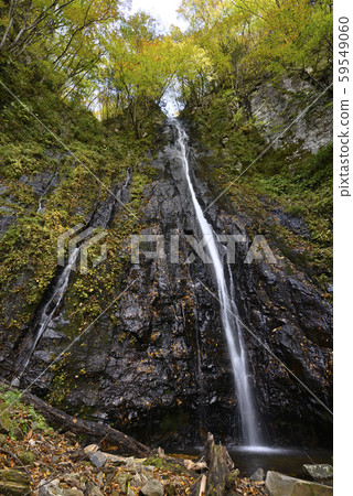 Shinya Hachitaki Falls (Kami-cho, Mikata-gun, Hyogo) Shinya Hachitaki Falls (Kami-cho, Mikata-gun, Hyogo) 59549060