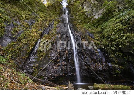 Shinya Hachitaki Falls (Kami-cho, Mikata-gun, Hyogo) Shinya Hachitaki Falls (Kami-cho, Mikata-gun, Hyogo) 59549061