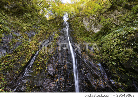 新屋町八aki瀑布（兵庫縣三方郡香美町） 59549062