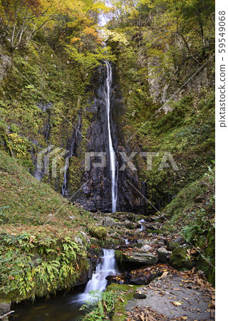 Shinya Hachitaki Falls (Kami-cho, Mikata-gun, Hyogo) 59549068
