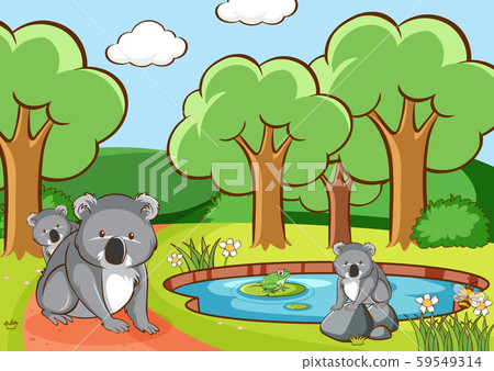 Scene with koala in the park - Stock Illustration [59549314] - PIXTA