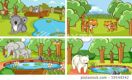 Background scenes of animals in the wild Background scenes of animals in the wild 59549342