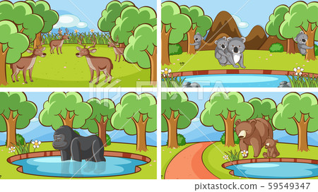 Background scenes of animals in the wild 59549347