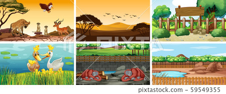 Six scenes with animals at different time Six scenes with animals at different time 59549355