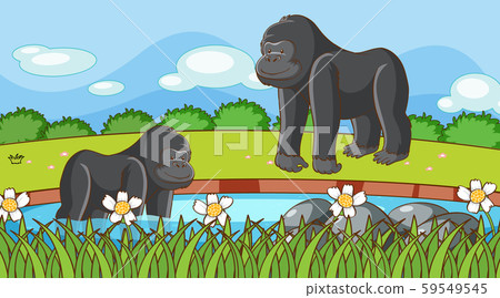 Scene with gorillas in the garden Scene with gorillas in the garden 59549545